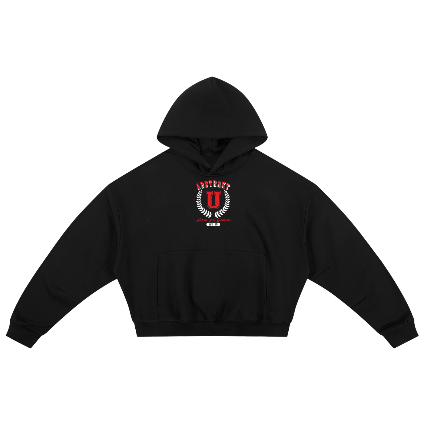 Abstrakt U Boxy Darted Sleeve Hoodie