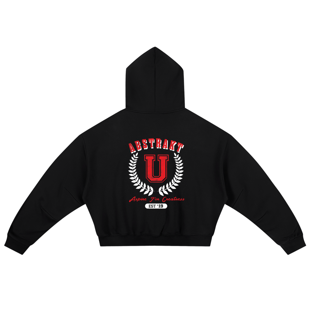 Abstrakt U Boxy Darted Sleeve Hoodie